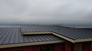 Best Roof Ventilation Installation  in Meadows Place, TX